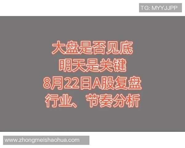 南京乒乓球队与杭州乒乓球队赛后复盘分析比赛节奏与战术对比